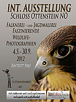 Ausstellung 